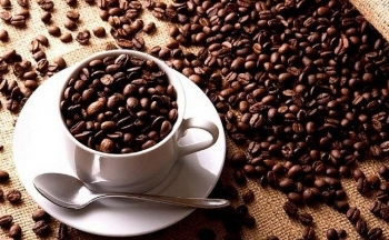 USDA hạ ước tính nguồn cung cà phê niên vụ 2023/24 của Việt Nam