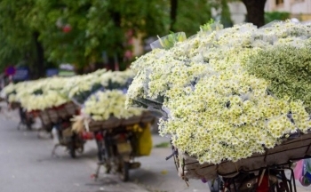 Thời tiết chiều nay 26/11/2023: Nam Bộ mưa to, Bắc Bộ thời tiết ổn định