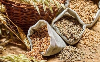 Khô đậu tương suy yếu, chấm dứt chuỗi 6 tuần tăng giá liên tiếp