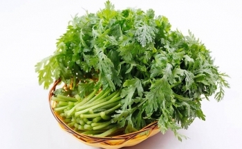 Tác dụng ít người biết của loại rau đặc sản của mùa đông
