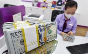 Lãi suất giảm sâu, tiền tiết kiệm vẫn chảy vào ngân hàng cao kỷ lục