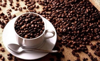 Bất chấp nguồn cung dần khởi sắc, giá cà phê Arabica vẫn tăng