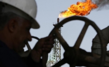 Sắc xanh bao trùm thị trường nông sản, giá dầu hồi phục trong sáng nay