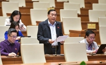 Đại biểu Quốc hội đề nghị xử lý hình sự bỏ cọc đấu giá tài sản