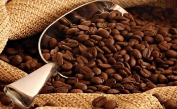 Mỹ mua cà phê Việt Nam với giá cao kỷ lục