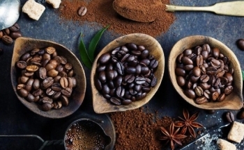 Giá cà phê mới nhất ngày 29/11/2023: Thị trường trong nước tiếp tục tăng 200 đồng/kg