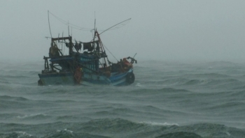 Dự báo thời tiết biển hôm nay 30/11/2023: Dự báo có mưa dông trên biển, gió mạnh và sóng lớn