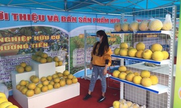 Thương mại điện tử - Bước đệm mới cho nông sản Việt