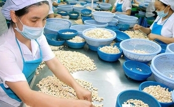 Khai thác thị trường nông sản Trung Đông và châu Phi