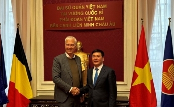 Bộ trưởng Nguyễn Hồng Diên tiếp Phó Chủ tịch thứ nhất Thượng viện Bỉ, Chủ tịch Liên minh Bỉ Việt