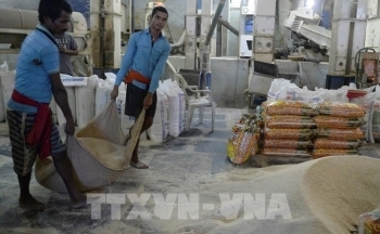 Nhu cầu mạnh đẩy giá gạo của Thái Lan và Việt Nam lên mức cao nhất ba tháng