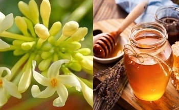 Hoa đu đủ đực ngâm mật ong: Lợi ích, cách dùng và lưu ý