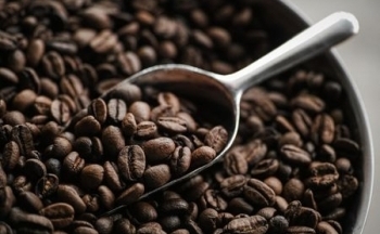 Xuất khẩu tuần 27/11-3/12:Xuất khẩu thủy sản tăng 6%, xuất khẩu rau quả đạt 5,3 tỷ USD sau 11 tháng