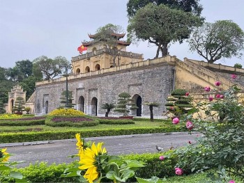 Việt Nam là
