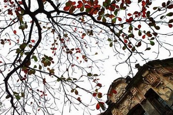 Dự báo thời tiết Hà Nội ngày mai 4/12/2023: Hà Nội tiếp tục mưa rét