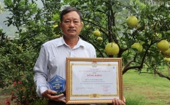 Về nơi đầu tiên ở Hòa Bình xuất khẩu bưởi Diễn sang trời Âu