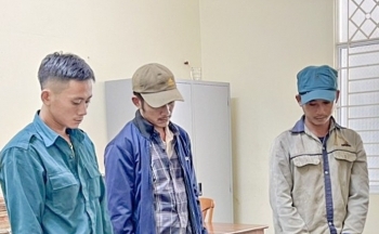 Kiên Giang: Bắt nhóm đối tượng săn bắt động vật rừng quý hiếm