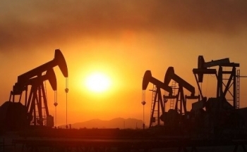 Sắc đỏ áp đảo bảng giá nông sản, giá dầu thô suy yếu