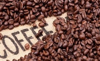 Giá cà phê mới nhất ngày 5/12/2023: Thị trường cà phê trong nước giữ mức cao và ổn định