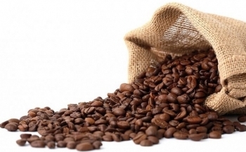 Giá cà phê có thể biến động trên các mức chặn quan trọng