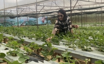 Lâm Đồng: Chấm dứt Quy chế tạm thời về kinh doanh du lịch canh nông