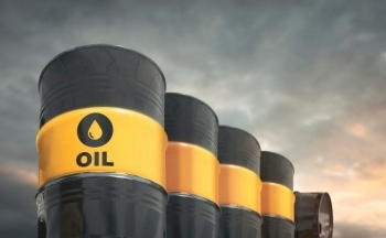 Xuất khẩu sản phẩm dầu của Nga phục hồi trong tháng 11