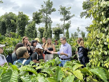 Nỗ lực quảng bá hình ảnh cà phê Việt ra thế giới