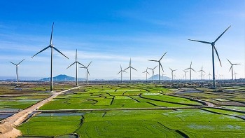 Việt Nam tiến gần hơn đến mục tiêu Net Zero năm 2050