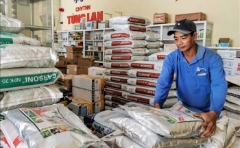 Giá phân bón biến động không theo quy luật mùa vụ