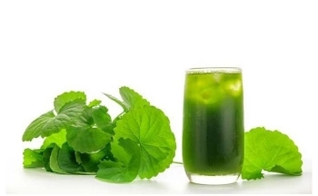 Ăn rau má thường xuyên có tốt cho sức khỏe không?