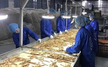 Dư địa lớn cho doanh nghiệp xây dựng thương hiệu Việt tại thị trường EU