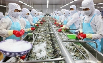 Xuất khẩu tuần 4-10/12: Xuất khẩu tôm dự kiến đạt 3,4 tỷ USD,xuất khẩu cà phê đạt 5 tỷ USD năm 2024