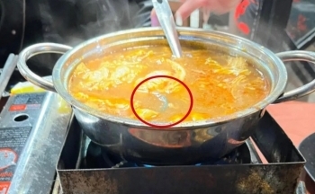 Vụ có rết trong nồi lẩu thái: Đại diện quán nói gì?