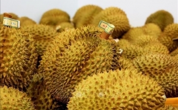 Xuất khẩu kỳ vọng bứt phá