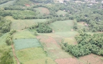 Thanh Hóa: Không gia hạn dự án Nhà máy điện năng lượng mặt trời của Công ty Hoàng Sơn