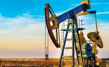 Giá xăng dầu hôm nay ngày 12/12/2023: Giá dầu thế giới tăng nhẹ