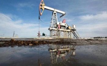 Giá dầu giảm mạnh hơn 3%, giá đậu tương đánh mất sắc xanh