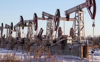 Sắc đỏ phủ kín bảng giá nông sản, giá dầu thô tiếp tục suy yếu