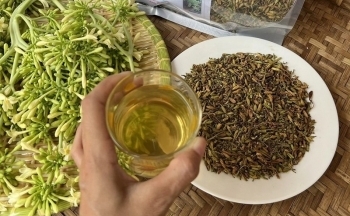 Sử dụng hoa đu đủ đực khô thế nào hiệu quả nhất?