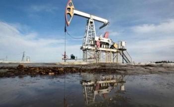 Giá dầu WTI nối dài đà tăng, giá đậu tương chìm trong sắc đỏ