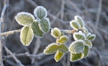 Chi tiết về hai đợt không khí lạnh liên tiếp sắp tới ở miền Bắc