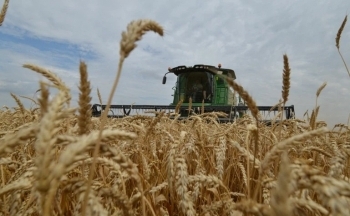 Các mặt hàng nông sản đồng loạt hồi phục trong phiên cuối tuần