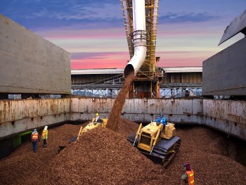 Bộ Công Thương: Lấy ý kiến xây dựng khung giá phát điện nhà máy điện chất thải, điện sinh khối