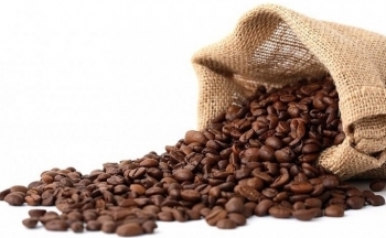 Giá cà phê có thể biến động mạnh khi nắng nóng hạ nhiệt