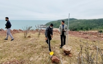 Quảng Ninh huy động mọi nguồn lực để khai thác tiềm năng điện gió ngoài khơi