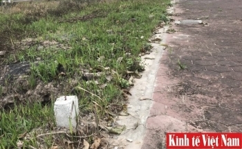 Thủ tướng Chính phủ chỉ đạo: Thanh tra, xử nghiêm việc cấp tín dụng cho doanh nghiệp 