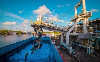 Tháng 11 năm 2023, nhập khẩu phân bón từ Trung Quốc giảm 4,9%
