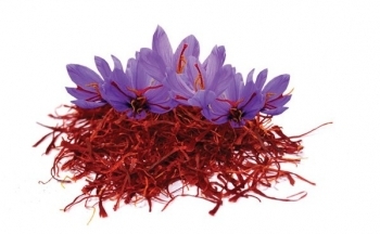 Vì sao nhụy hoa nghệ tây được gọi là gia vị đắt nhất thế giới?