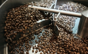 Tồn kho cà phê toàn cầu có thể thấp nhất trong 12 năm