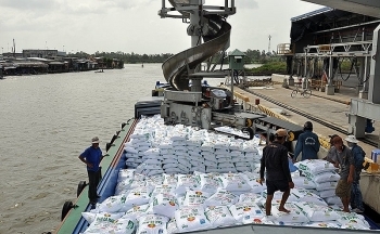 11 tháng, xuất khẩu phân bón các loại thu về 577,49 triệu USD